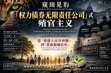 从两个武汉女孩的一封公开信说起——窥斑见豹:“权力债券无限责任公司”式殖官主义